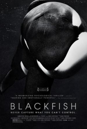 Ver online gratis la película Blackfish