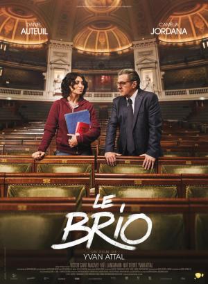 Ver online gratis la película Una razón brillante