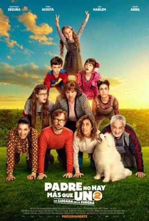 Ver online gratis la película Padre no hay más que uno 2: La llegada de la suegra