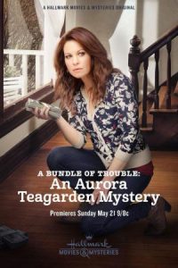 Un misterio para Aurora Teagarden: Un montón de problemas (2017)