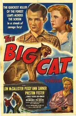 Ver online gratis la película El gran gato