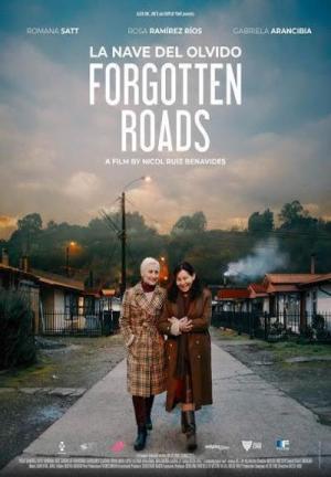 Ver online gratis la película La nave del olvido