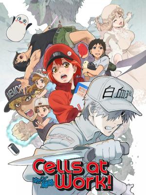 Ver online gratis la serie Cells at Work!