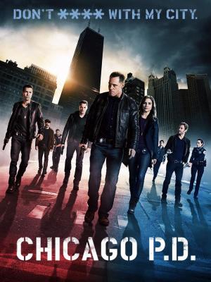 Ver online gratis la serie Chicago PD