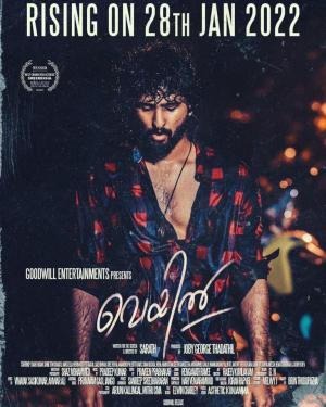 Ver online gratis la película Amor a quemarropa