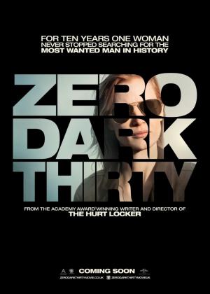 Ver online gratis la película La noche más oscura (Zero Dark Thirty)